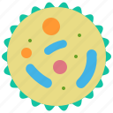 lysosome, cell, biology, education, science, experiment, medical