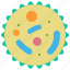 lysosome, cell, biology, education, science, experiment, medical 