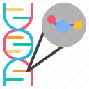 nucleotide, gene, dna, biology, genetic, science