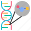 nucleotide, gene, dna, biology, genetic, science 