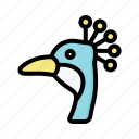 peacock, bird, avatar, animal, wildlife