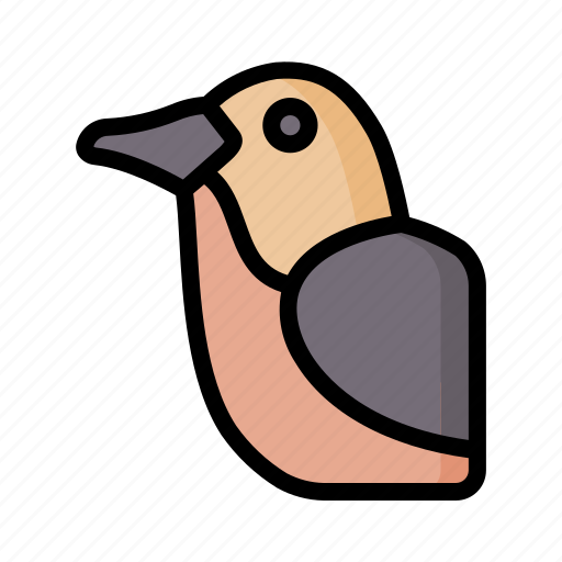Robin, bird, avatar, animal, wildlife icon - Download on Iconfinder