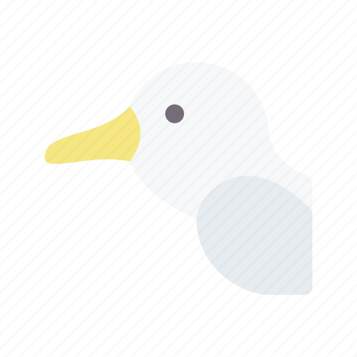 Albatross, bird, avatar, animal, wildlife icon - Download on Iconfinder