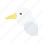 albatross, bird, avatar, animal, wildlife 