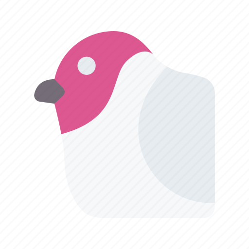 Bullfinch, bird, avatar, animal, wildlife icon - Download on Iconfinder