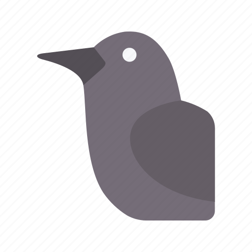 Crow, bird, avatar, animal, wildlife icon - Download on Iconfinder