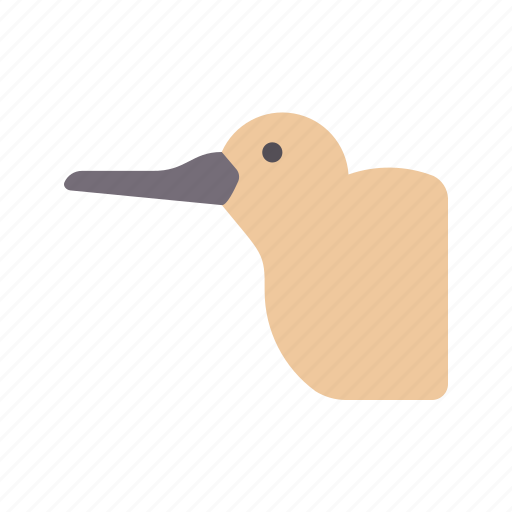Kiwi, bird, avatar, animal, wildlife icon - Download on Iconfinder