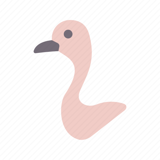 Ostrich, bird, avatar, animal, wildlife icon - Download on Iconfinder