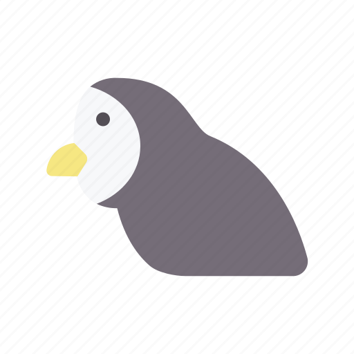 Owls, bird, avatar, animal, wildlife icon - Download on Iconfinder