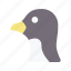 penguin, bird, avatar, animal, wildlife 
