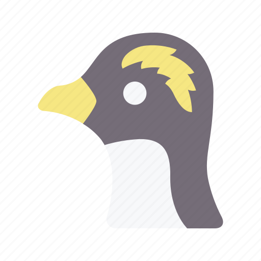 Penguin, bird, avatar, animal, wildlife icon - Download on Iconfinder