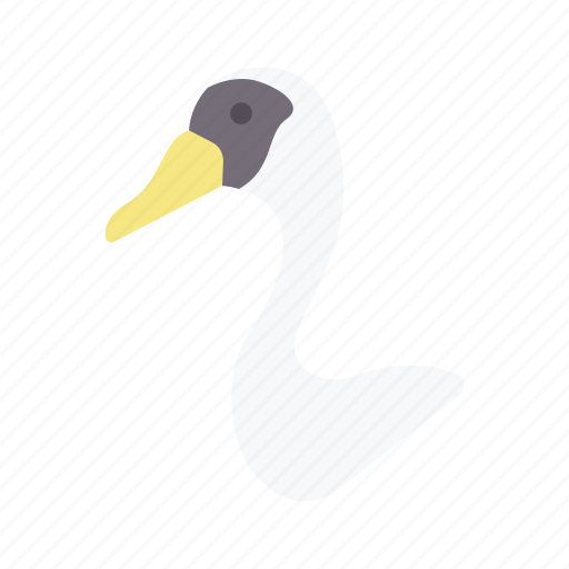 Swan, bird, avatar, animal, wildlife icon - Download on Iconfinder