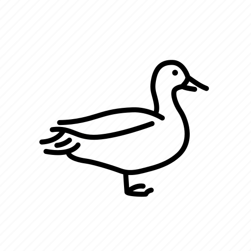 Aquatic bird, bird, duck, duckling, farm, fauna icon - Download on Iconfinder