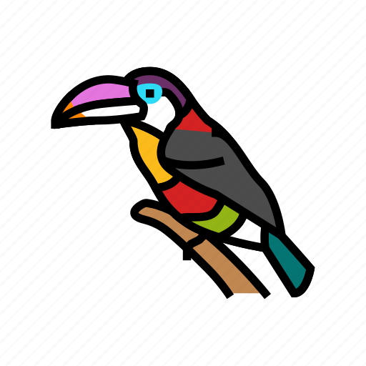 Curl, crested, aracari, bird, exotic, animal icon - Download on Iconfinder