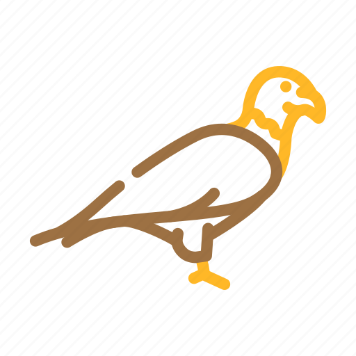 Eagle, bird, flying, eggs, nest, toucan icon - Download on Iconfinder