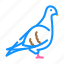 pigeon, bird, flying, eggs, nest, toucan 