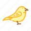 wren, bird, flying, eggs, nest, toucan 