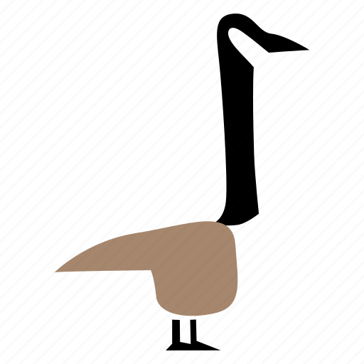 Bird, canada, duck, fowl, goose icon - Download on Iconfinder