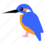 bird, kingfisher 