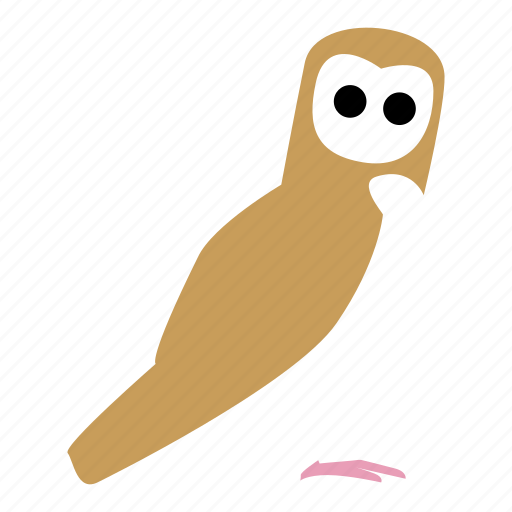 Barn owl, bird, owl, wisdom icon - Download on Iconfinder