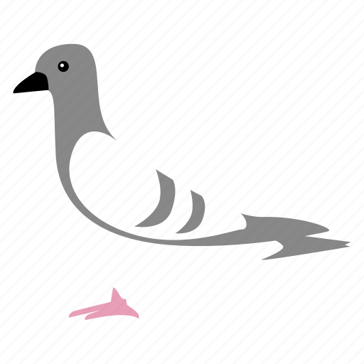 Bird, pigeon icon - Download on Iconfinder on Iconfinder