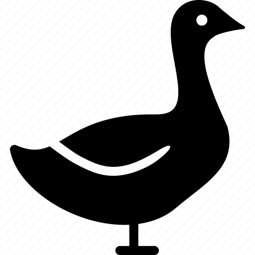 Geese, goose, grey, white icon - Download on Iconfinder