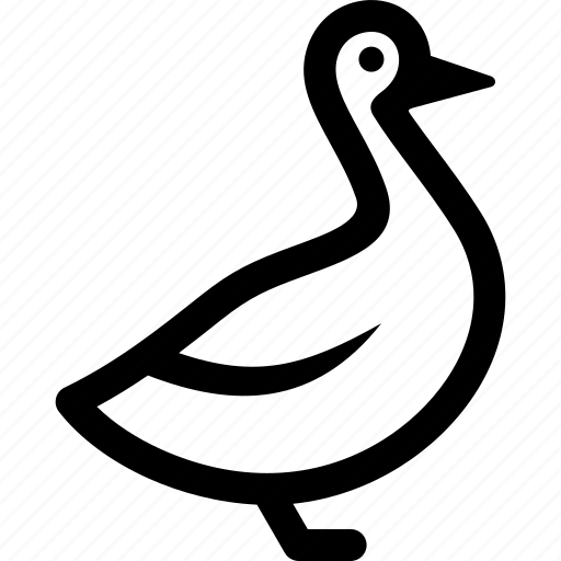 Duck, mallard, muscovy icon - Download on Iconfinder