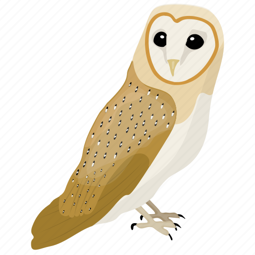 Animal, barn owl, bird, owl, prey bird icon - Download on Iconfinder