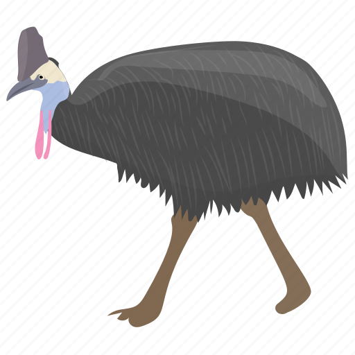 Australian cassowary, bird, cassowary, southern cassowary icon - Download on Iconfinder