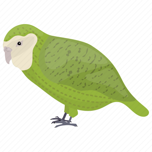 Bird, bright-green parrot, monk parakeet, parrot, quaker parrot icon - Download on Iconfinder