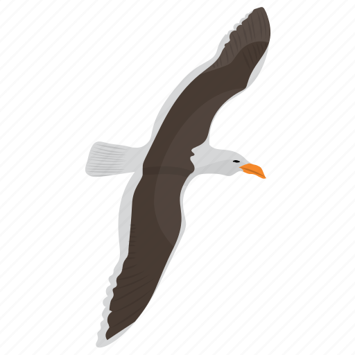 Bird, erne, flying eagle, prey bird, sea eagle icon - Download on Iconfinder