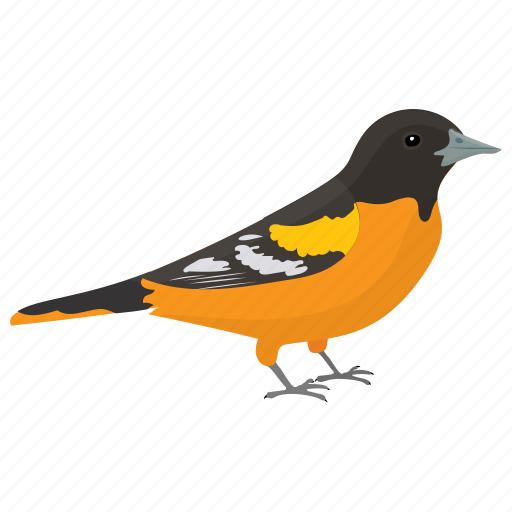 Bird, golden weaver, passerine bird, ploceidae, weaver-bird icon - Download on Iconfinder