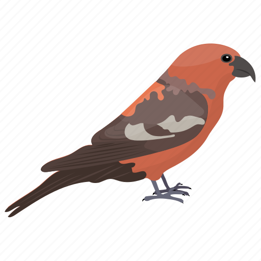 Bird, fringillidae, haemorhous mexicanus, house finch, male finch icon - Download on Iconfinder
