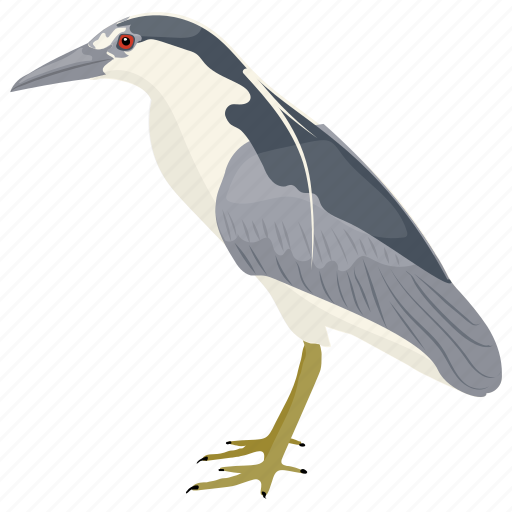 Bird, gull, laridae, seabird, seagull icon - Download on Iconfinder