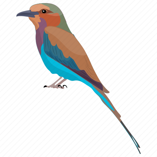Bird, colorful bird, passerine bird, red-cheeked cordon bleu, uraeginthus bengalus icon - Download on Iconfinder