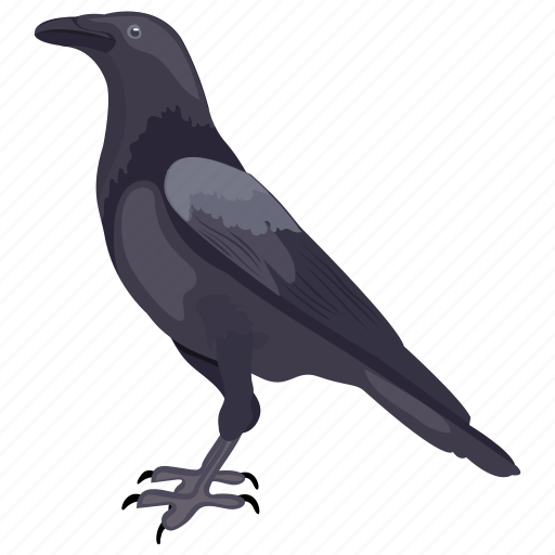 Bird, blackbird, corvus, crow, raven crow icon - Download on Iconfinder