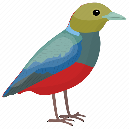Colorful bird, erythropitta erythrogaster, philippine pitta, pitta bird, red-bellied pitta icon - Download on Iconfinder