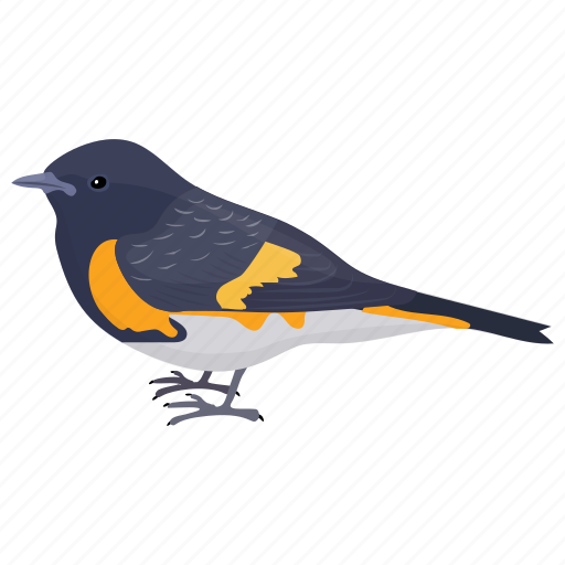 Bird, cacicus cela, passerine bird, small bird, yellow-rumped cacique icon - Download on Iconfinder