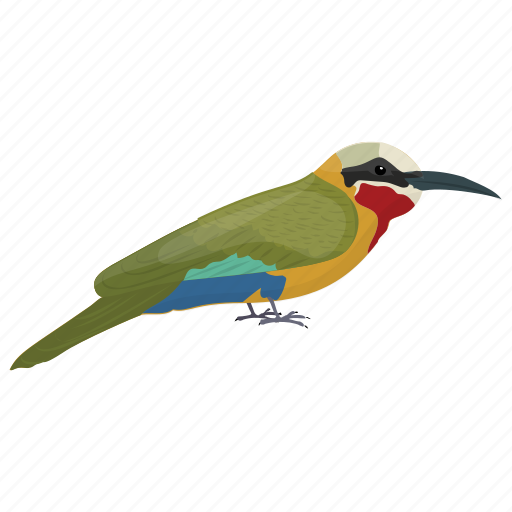 Bird, colorful bird, cuban tody, todus multicolor, zoo icon - Download on Iconfinder