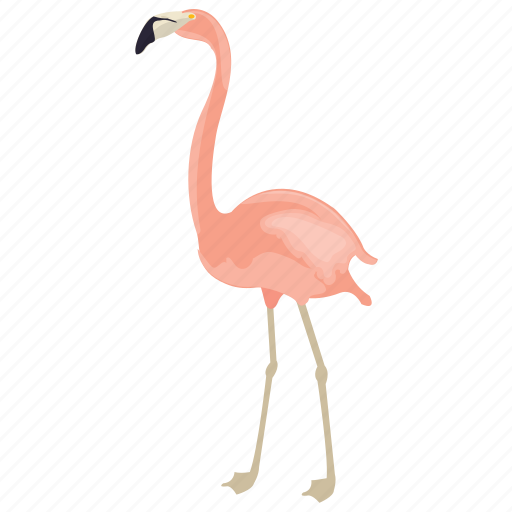 African animal, bird, flamingo, phoenicopteridae, wading bird icon - Download on Iconfinder