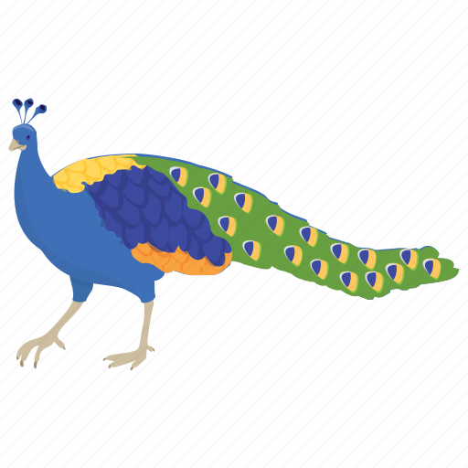 Bird, green peafowl, peacock, peafowl, phasianidae icon - Download on Iconfinder