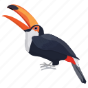 bird, cartoon toucan, ramphastidae, toco toucan, toucan