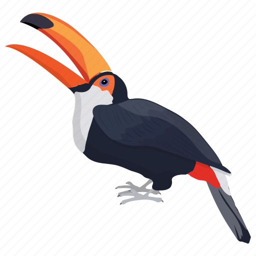Bird, cartoon toucan, ramphastidae, toco toucan, toucan icon - Download on Iconfinder
