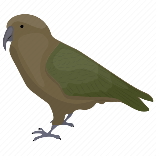Animal, aquila chrysaetos, bird, eagle, golden eagle icon - Download on Iconfinder