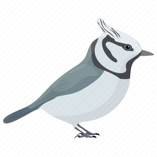 Bird, bridled titmouse, crested tit, songbird, titmice icon - Download on Iconfinder
