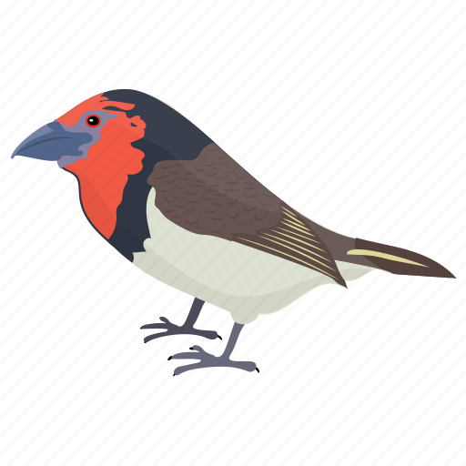 Bird, colorful bird, european robin, robin, songbird icon - Download on Iconfinder