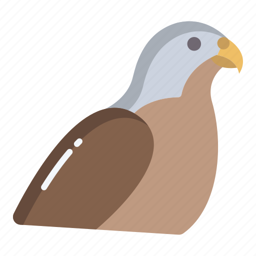 Falcon icon - Download on Iconfinder on Iconfinder