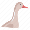 goose 