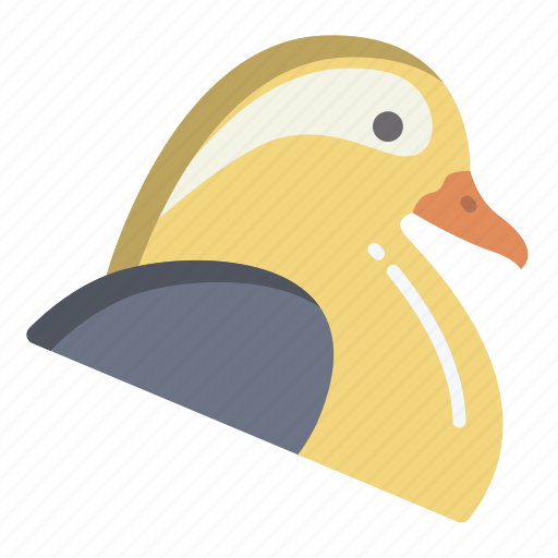 Mandarin, duck icon - Download on Iconfinder on Iconfinder
