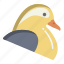 mandarin, duck 